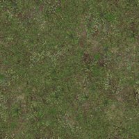 Asset preview